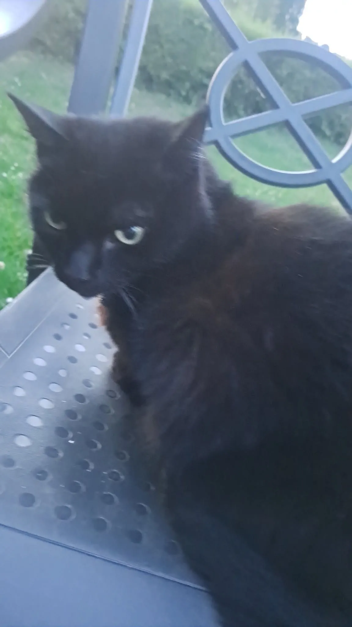 Poes