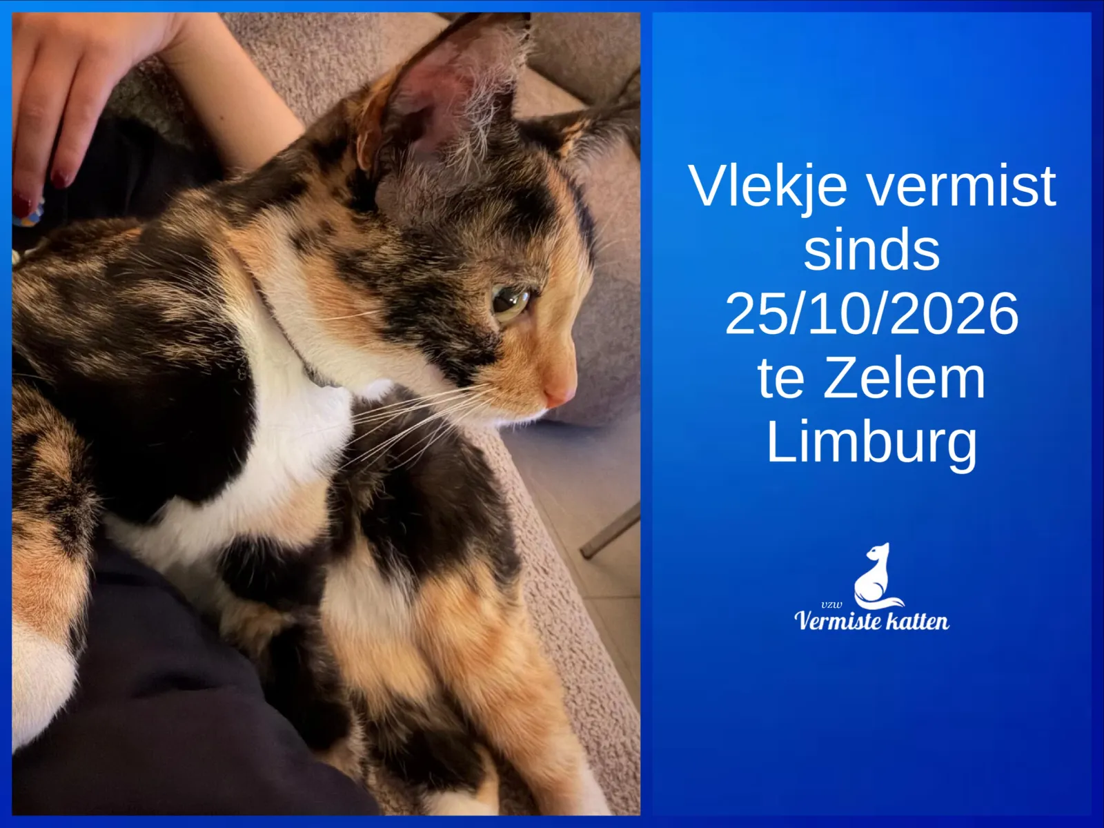Vlekje (officieel Ebie)