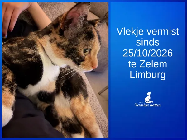 Vlekje (officieel Ebie)
