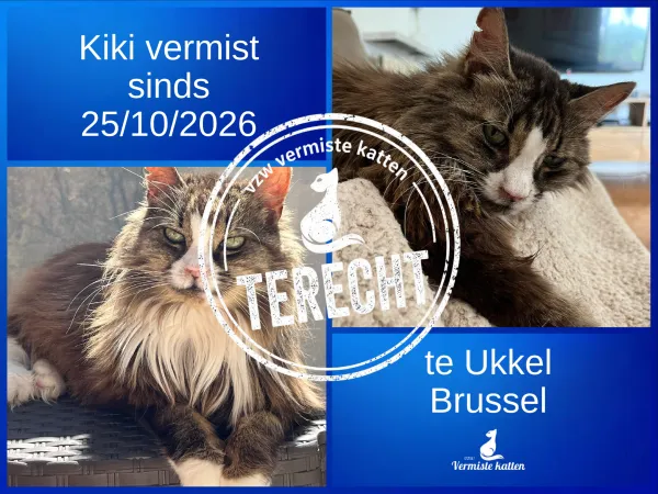 Kiki 