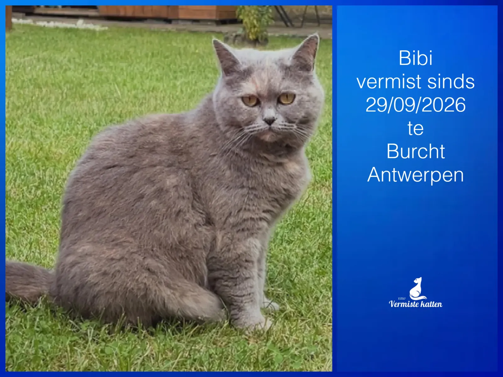 Bibi