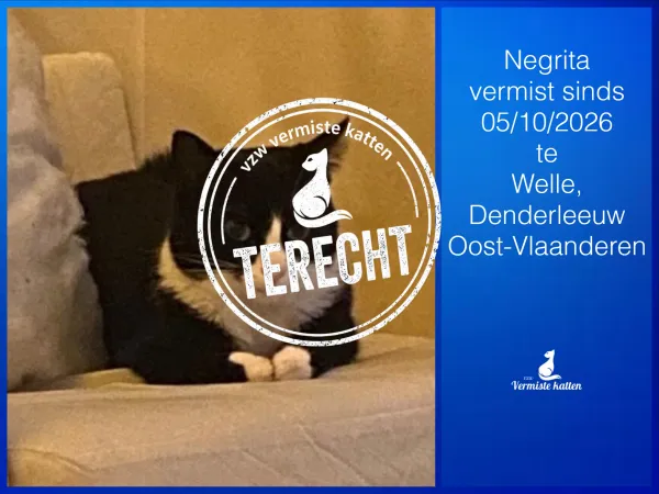 Negrita