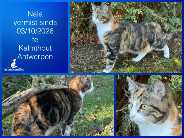 Nala