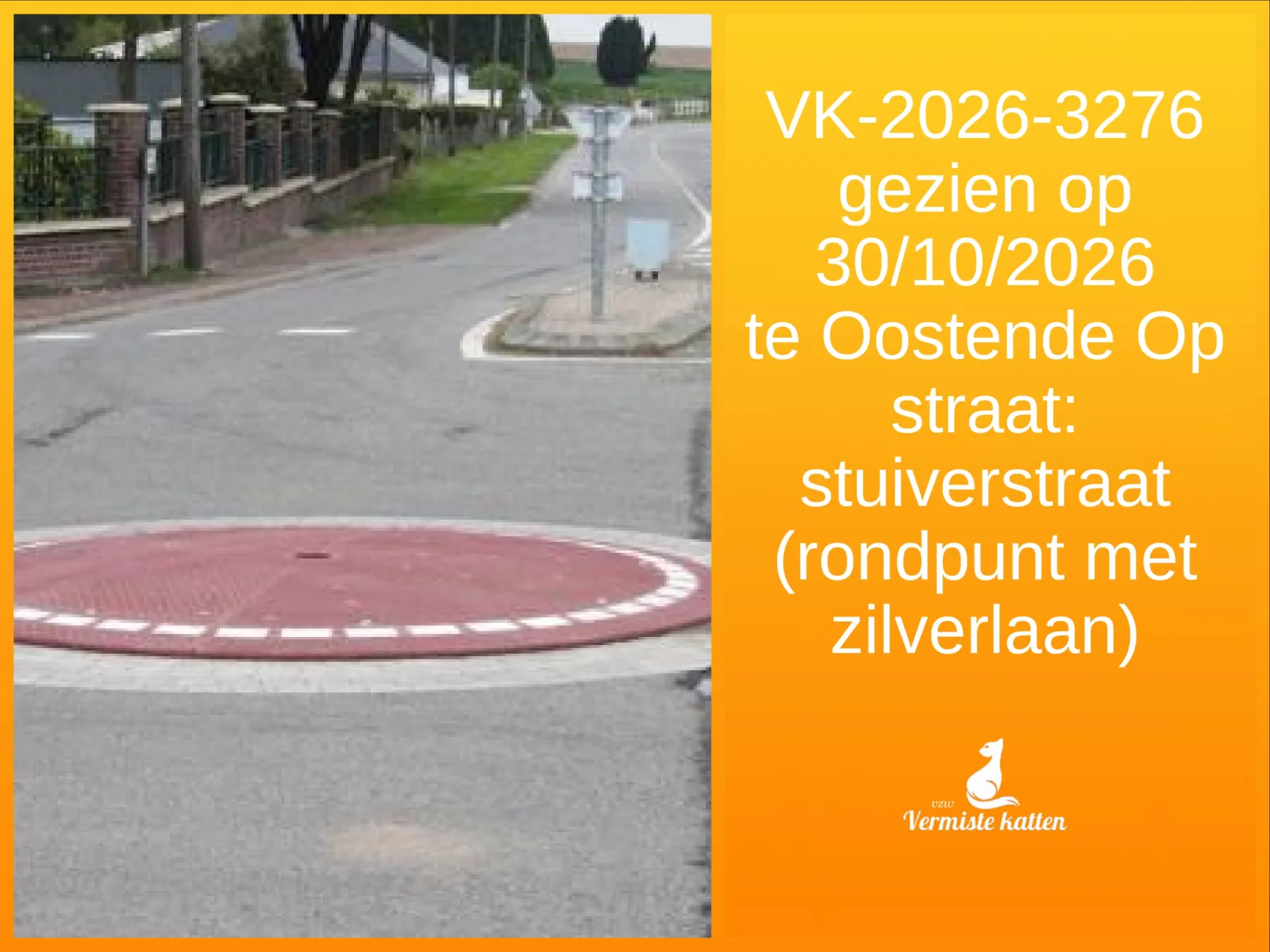 Gevonden kat