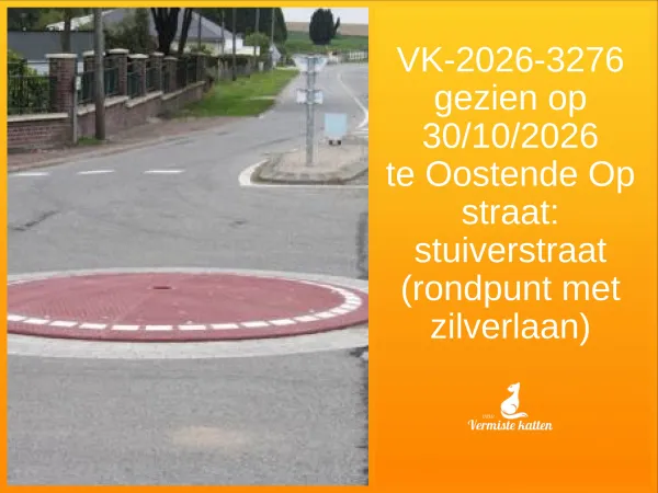Gevonden kat