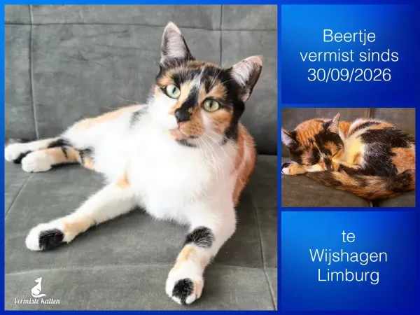 Beertje