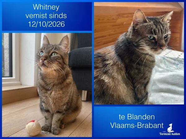 Whitney 