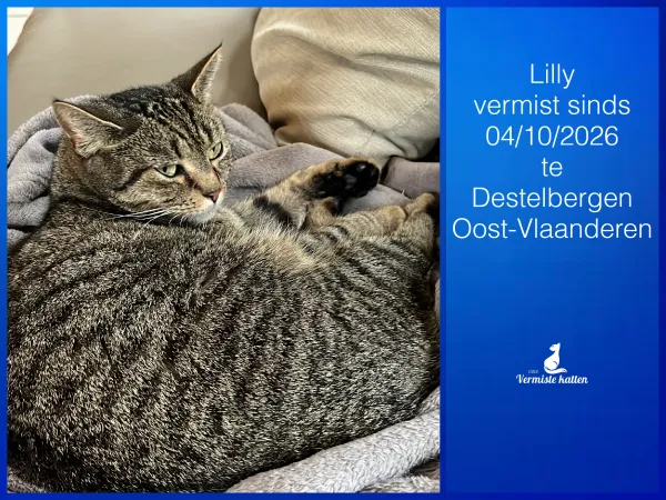 Lilly