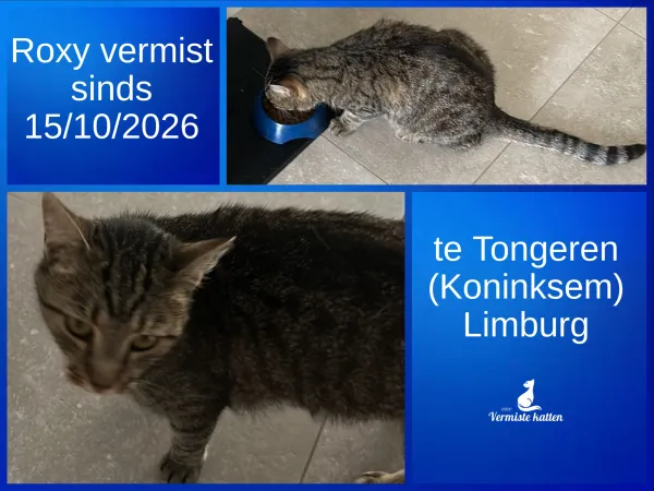 Roxy