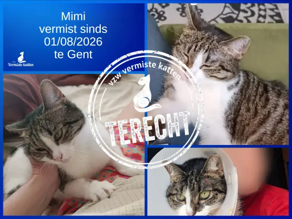 Mimi