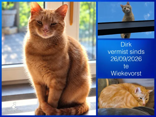 Dirk