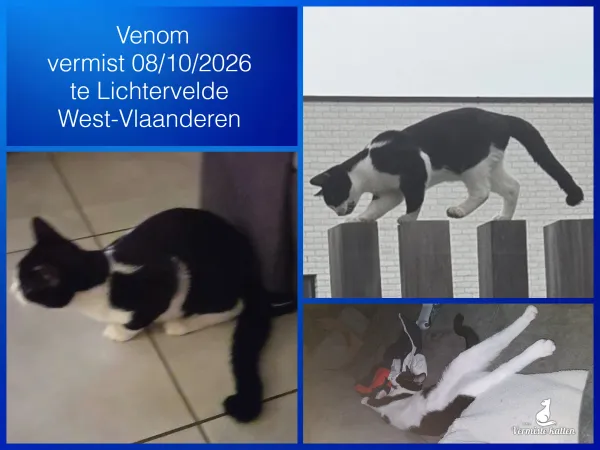 Venom