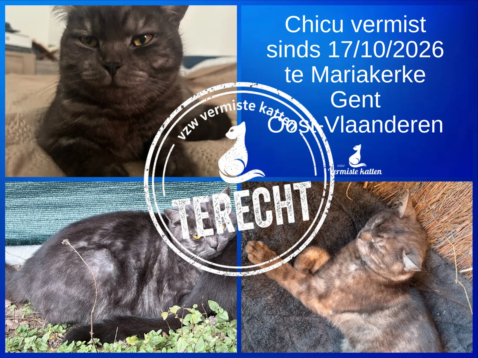 chichu