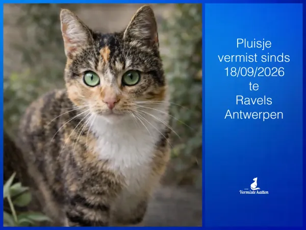 Pluisje