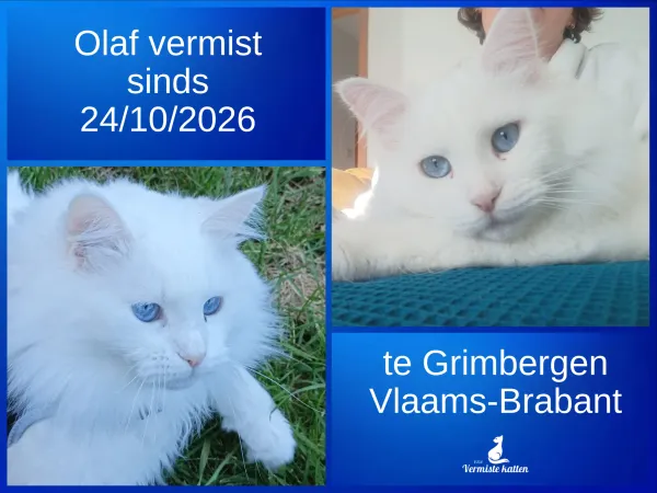 Olaf