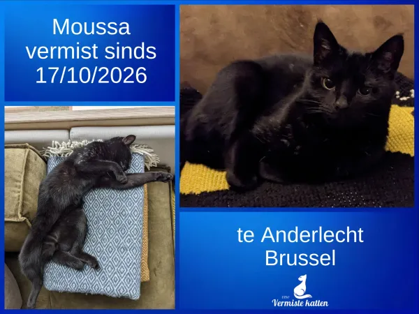 Moussa
