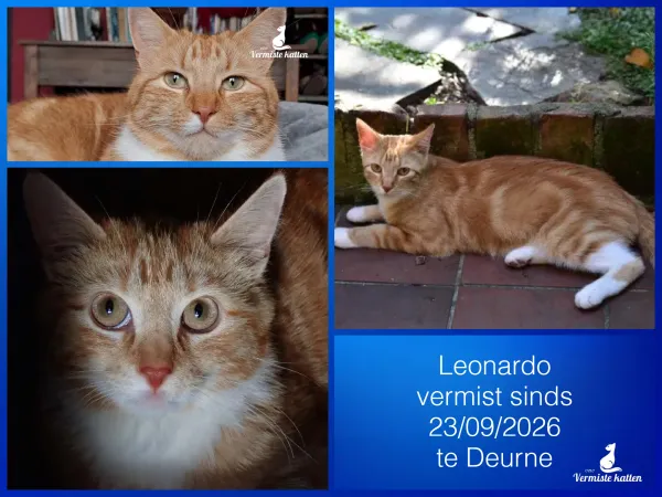 Leonardo