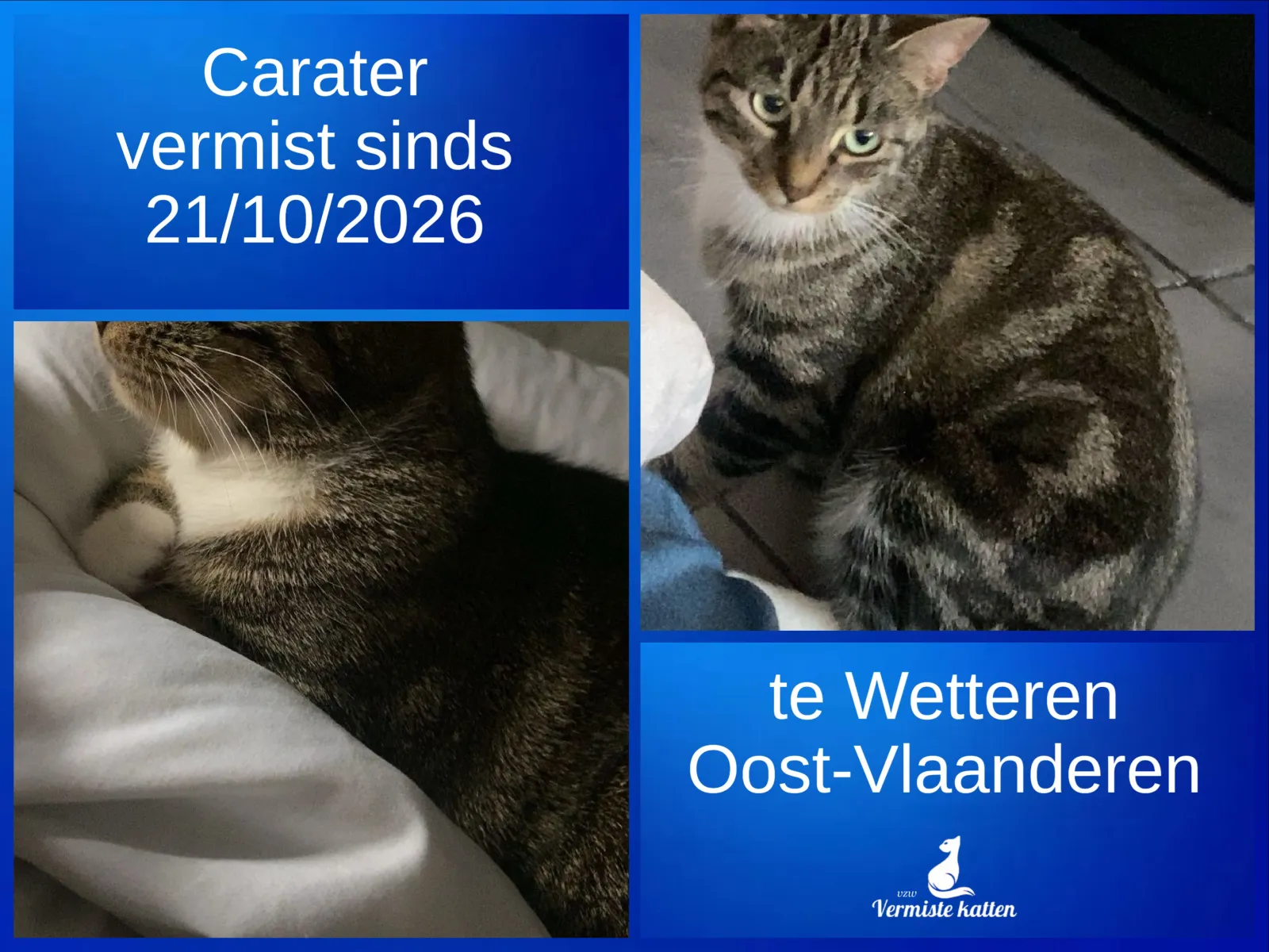 Carater