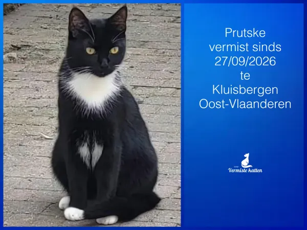 Prutske