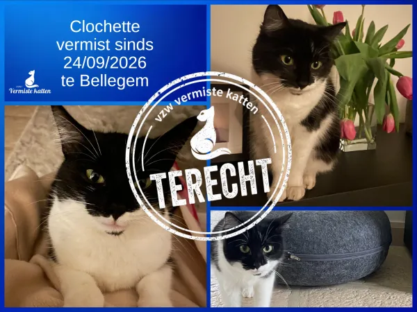 Clochette