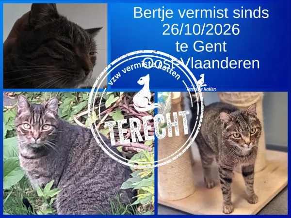 Bertje
