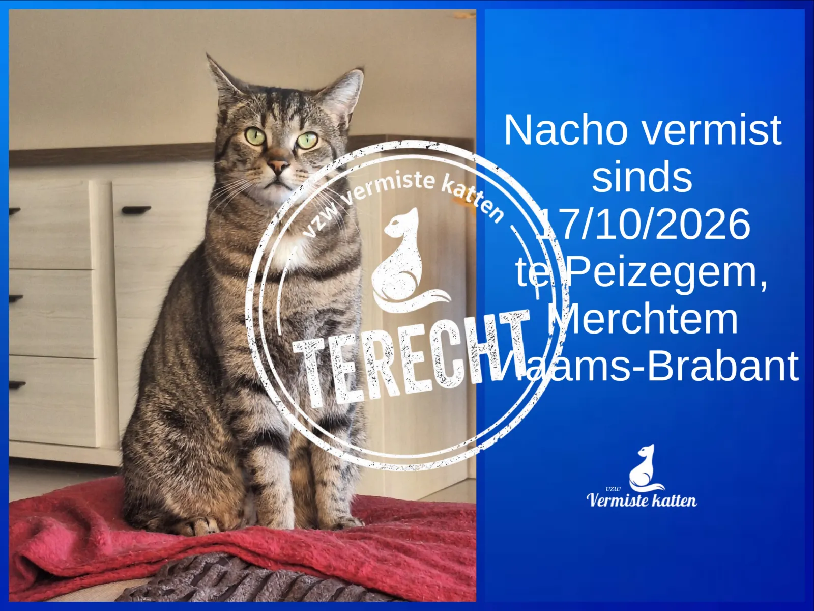 Nacho