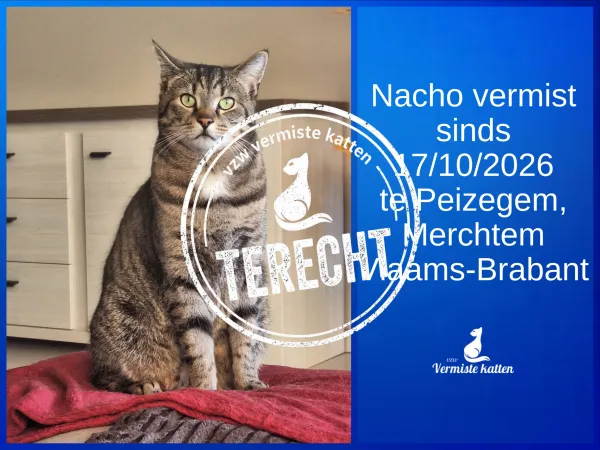Nacho