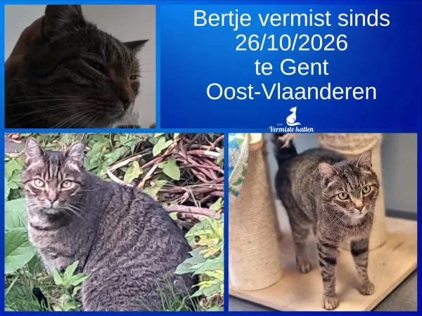 Bertje