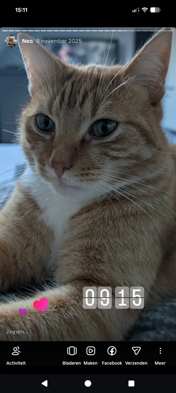 Neo