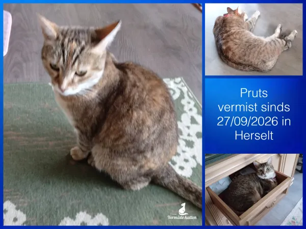 Pruts