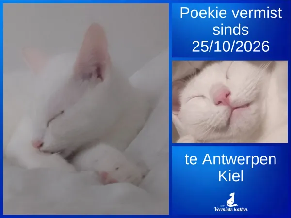 Poekie