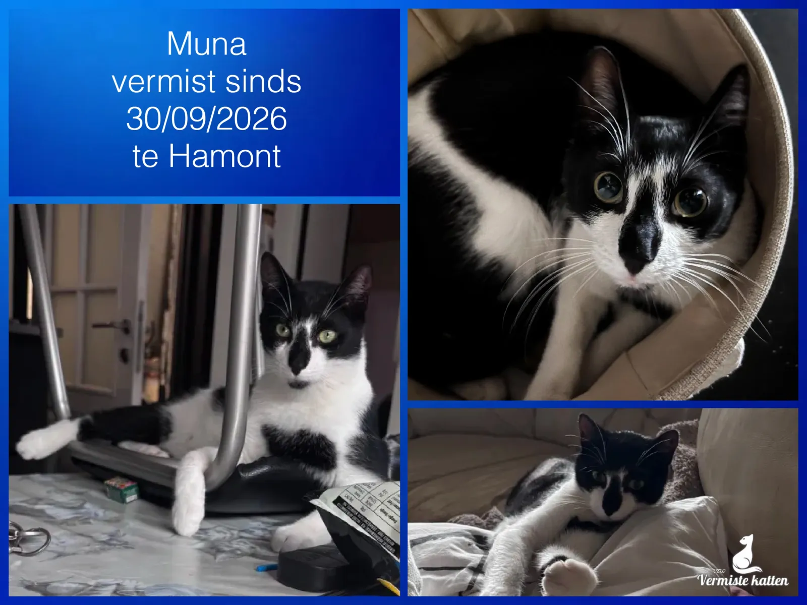 Muna