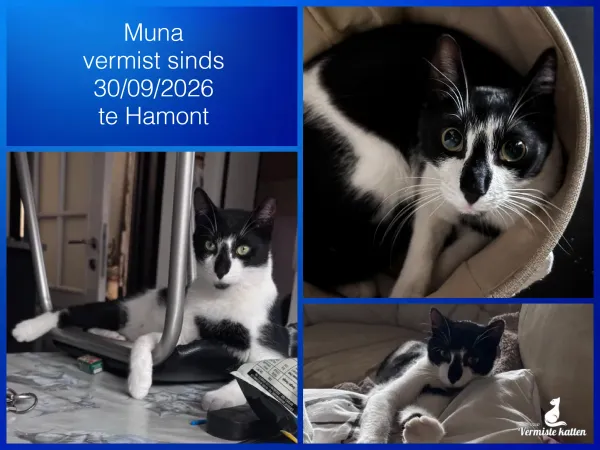 Muna