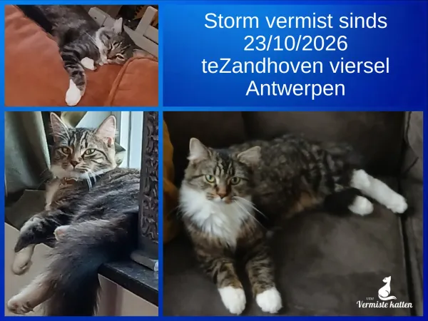 Storm