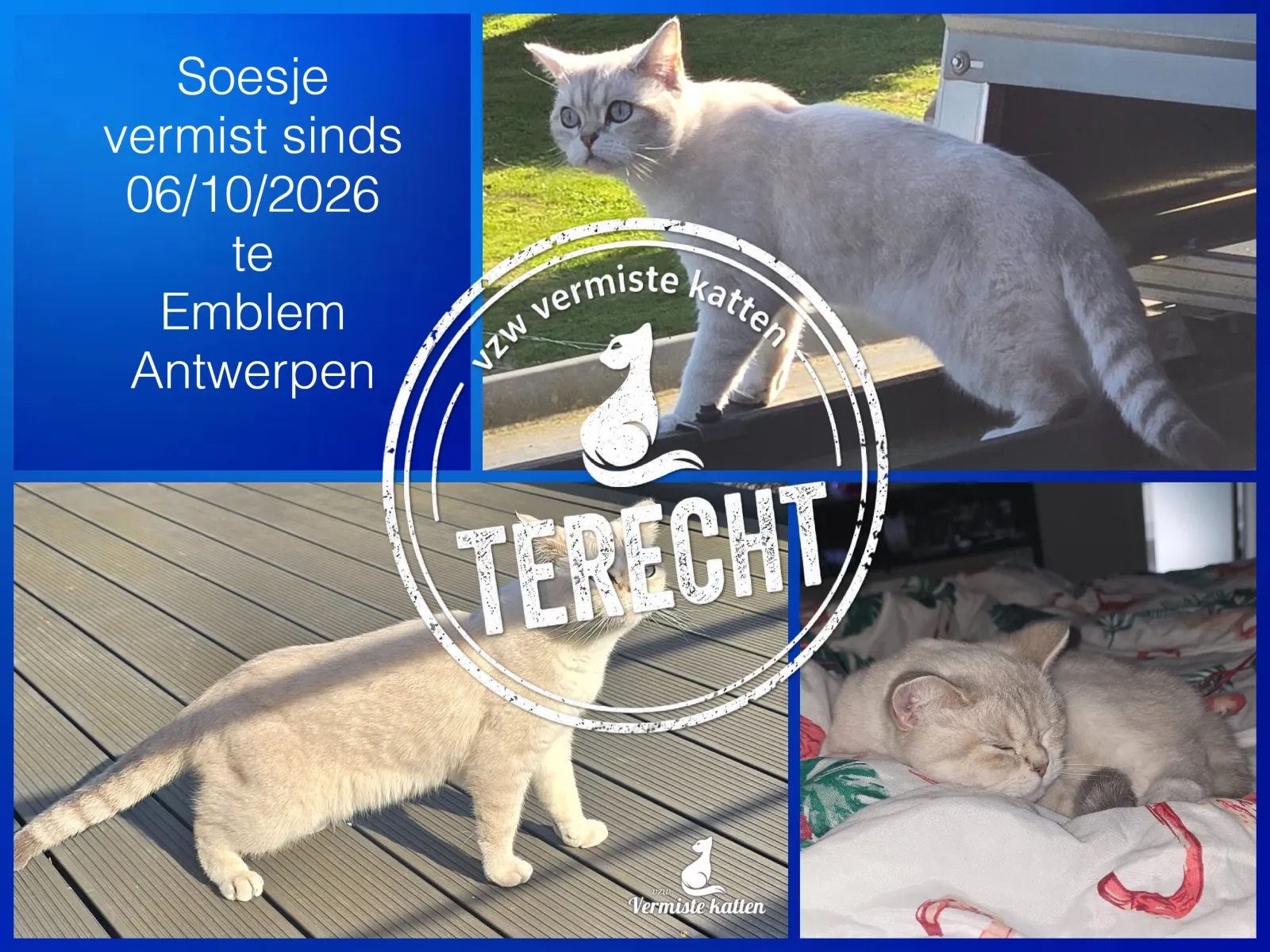 Soesje