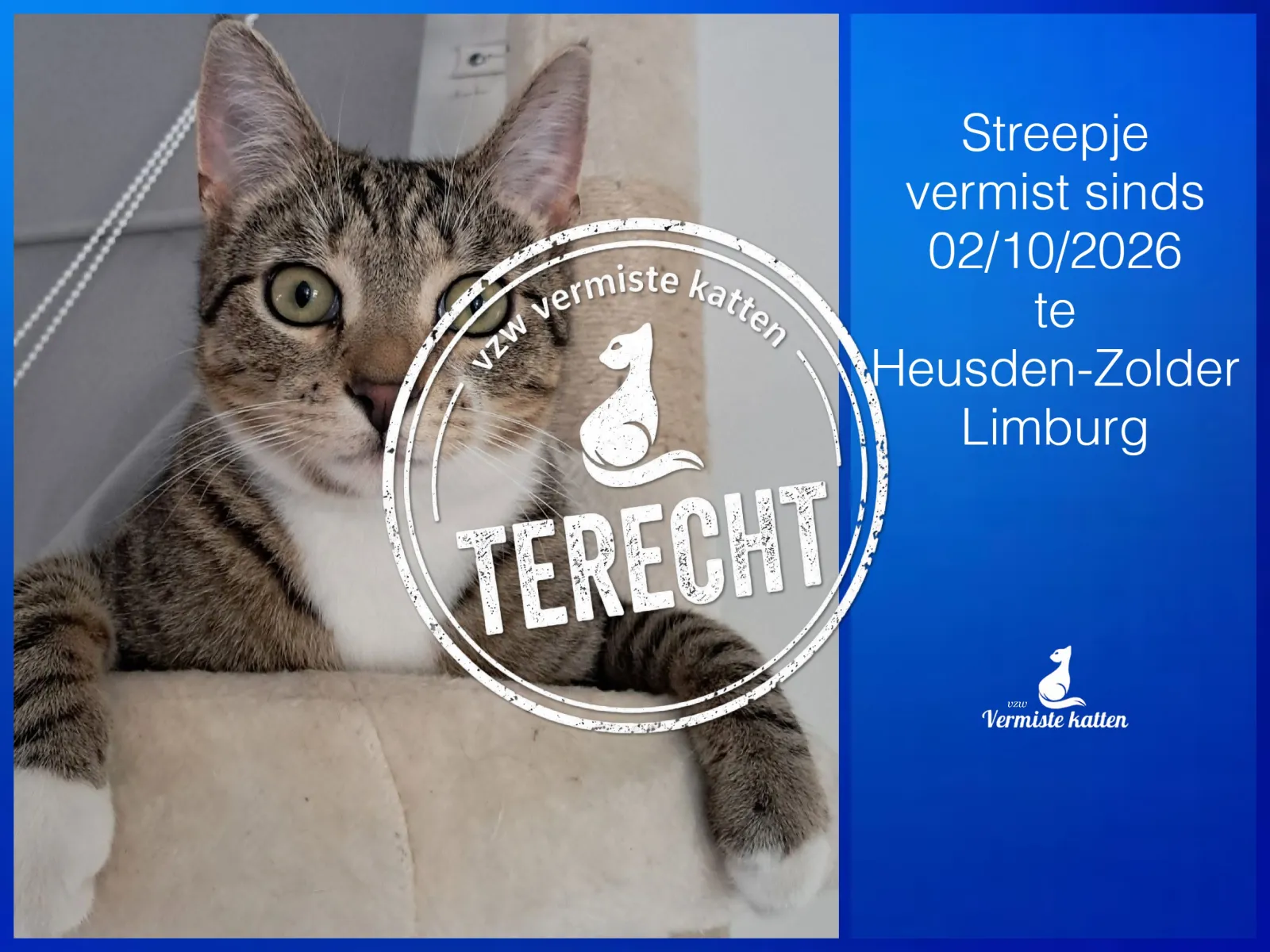 Streepje 