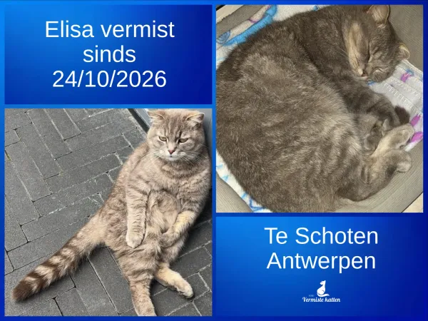 Elisa
