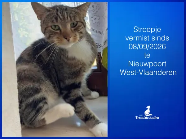 Streepje