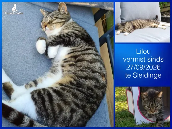 Lilou