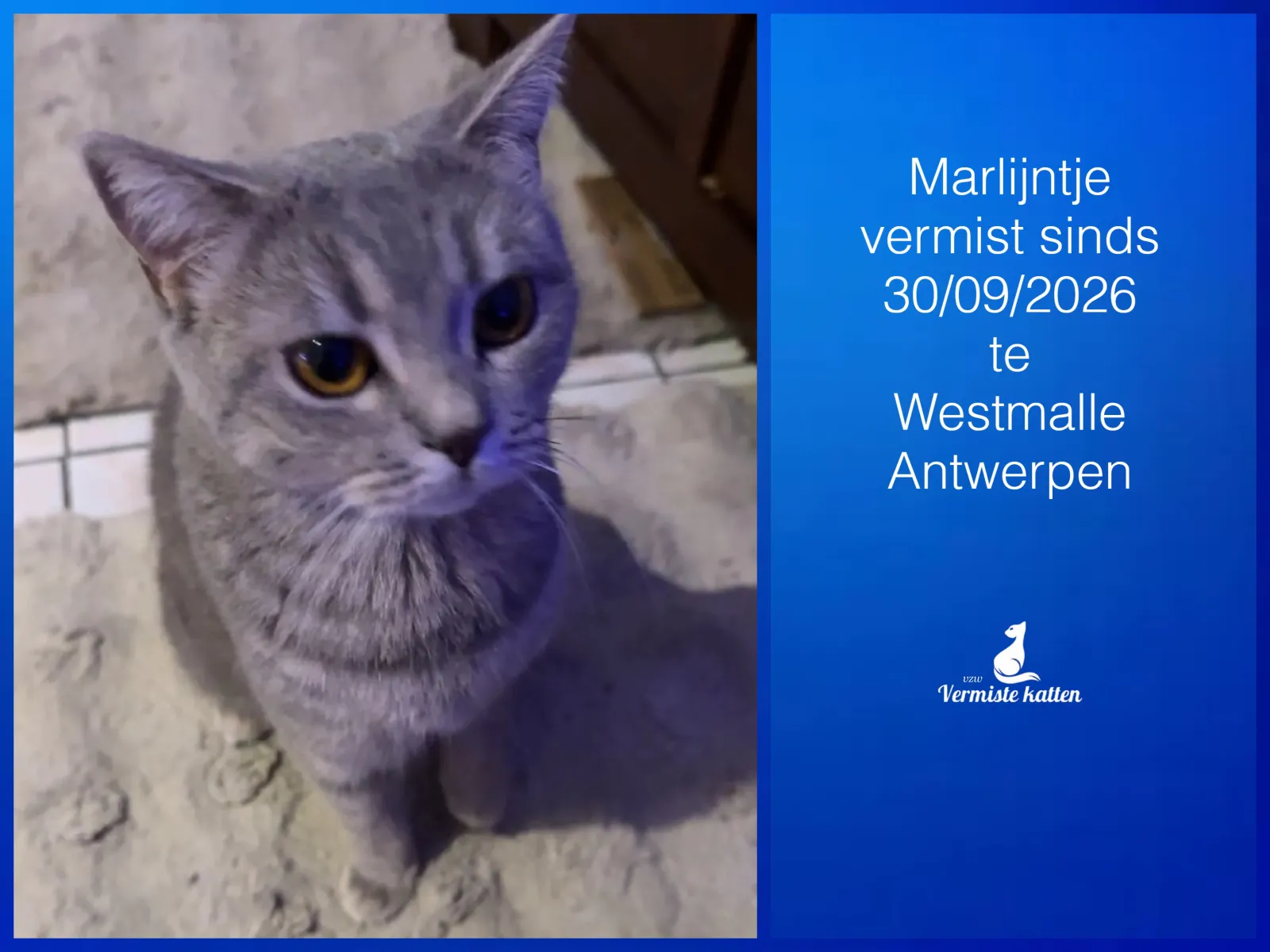 Marlijntje 