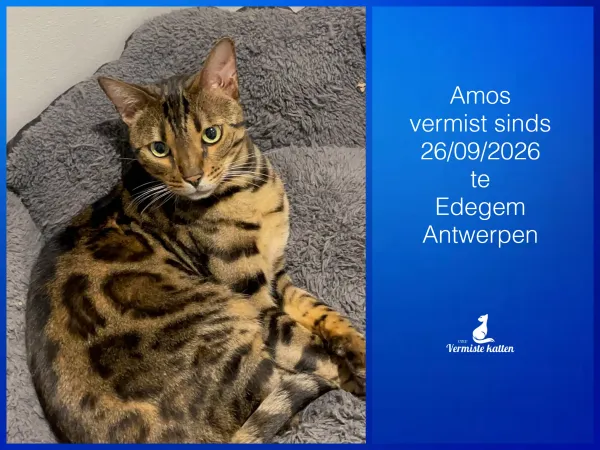 amos
