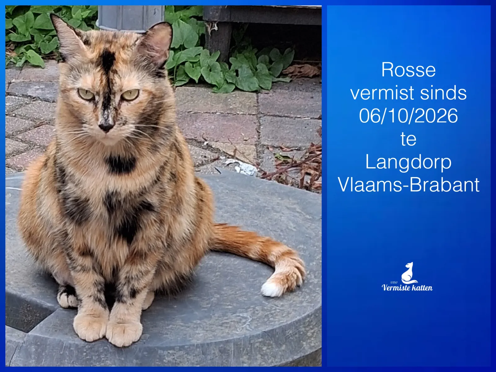 Rosse