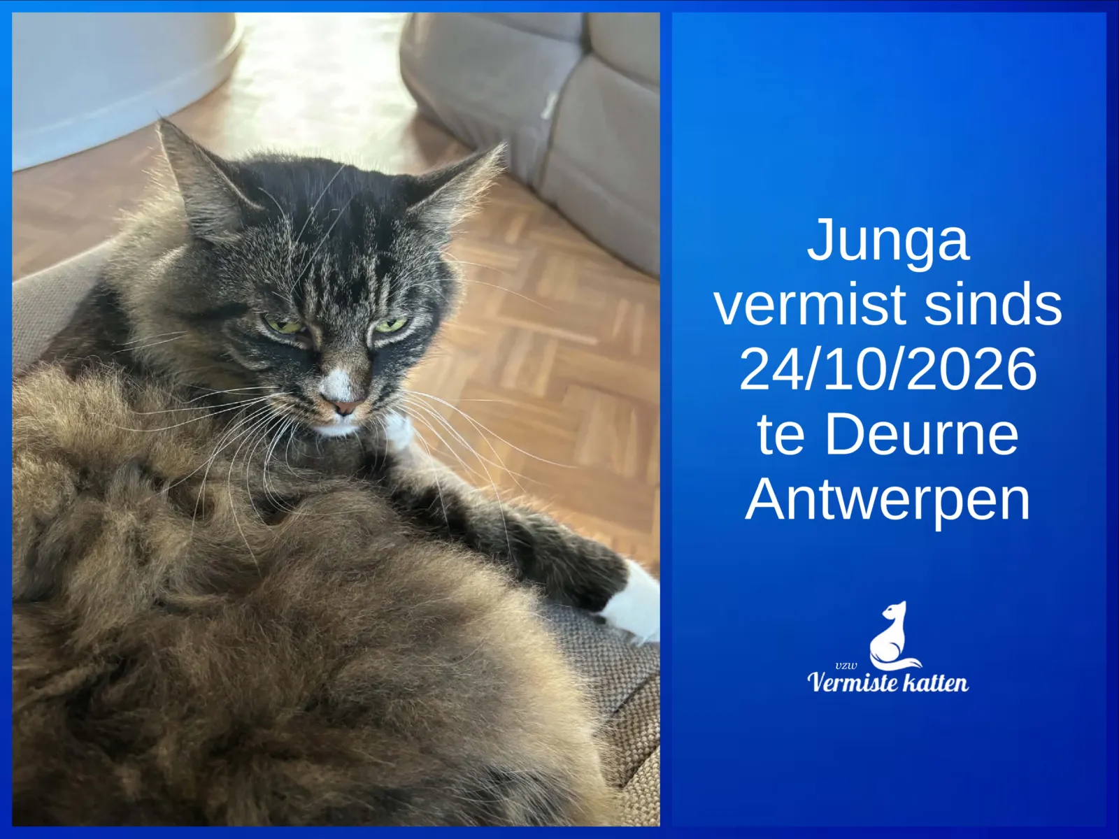 Junga