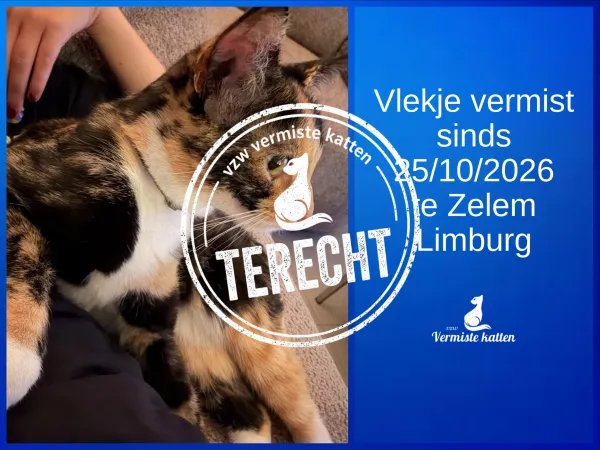 Vlekje (officieel Ebie)