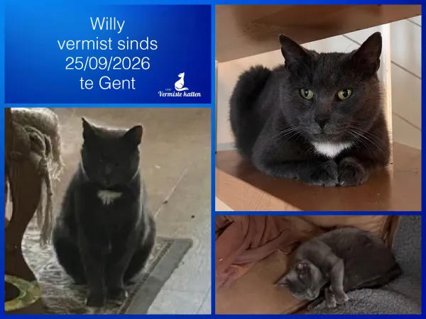 Willy