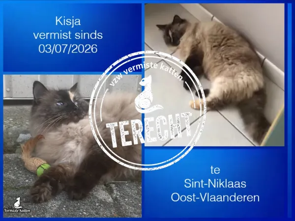 Kisja