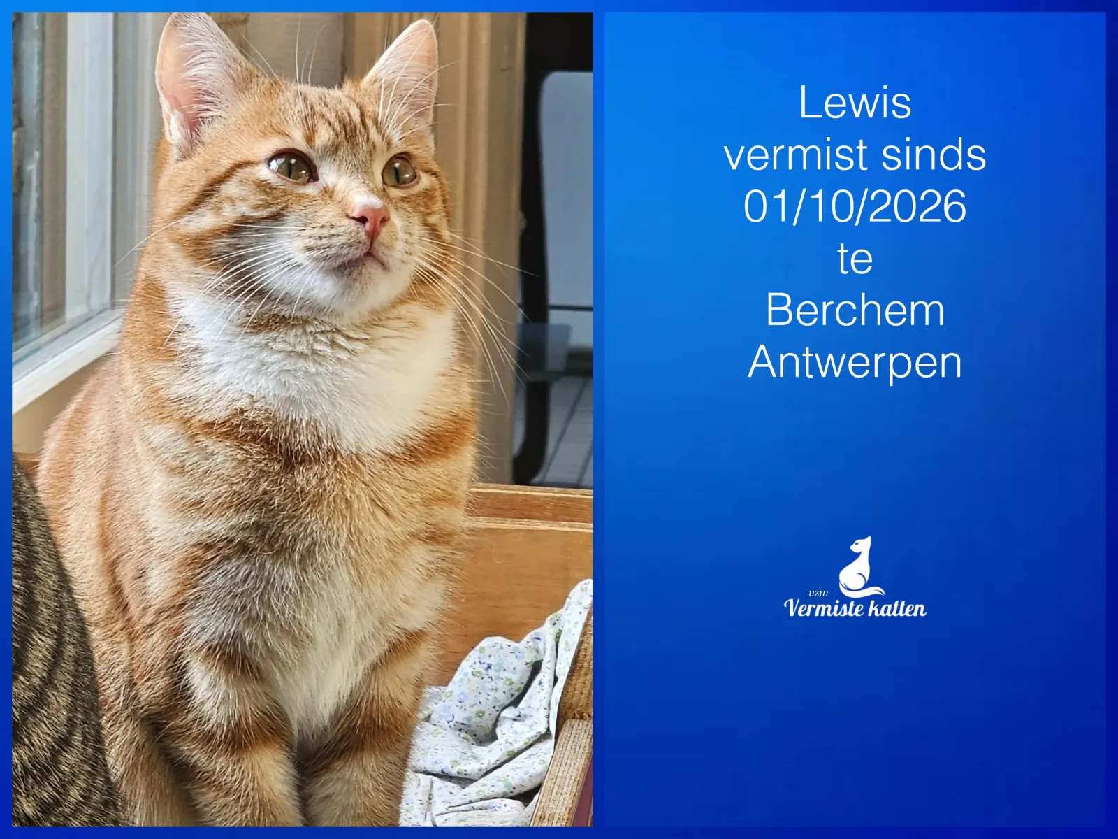Lewis