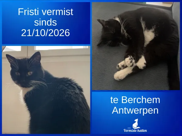 Fristi