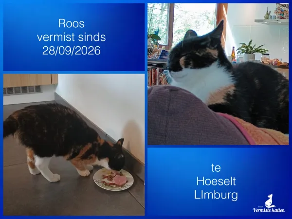 Roos