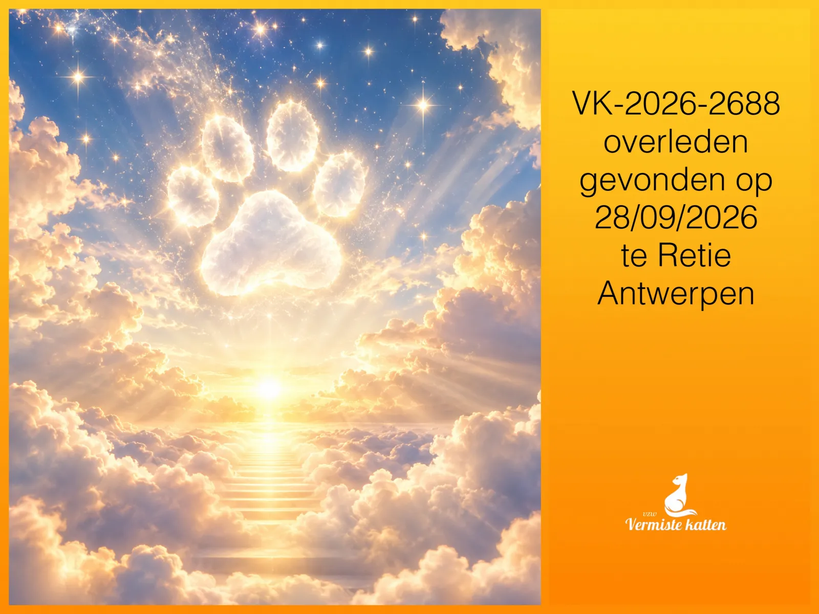 Gevonden kat
